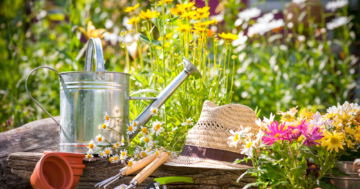 Frühlingserwachen im Garten: Die neue Saison beginnt